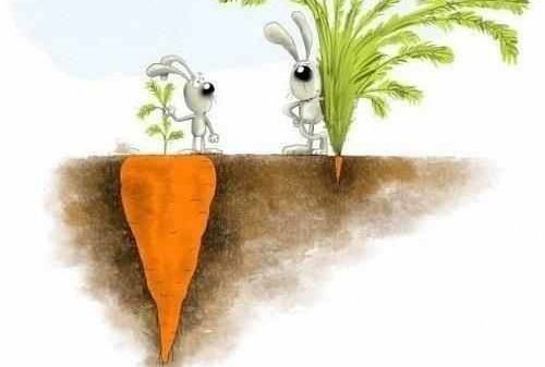 Read more about the article 𝕊𝕥𝕚𝕞𝕒 𝕕𝕖 𝕤𝕚𝕟𝕖 – ℙ𝕣𝕠𝕧𝕠𝕔𝕒𝕣𝕖 – 𝕫𝕚𝕦𝕒 𝟛