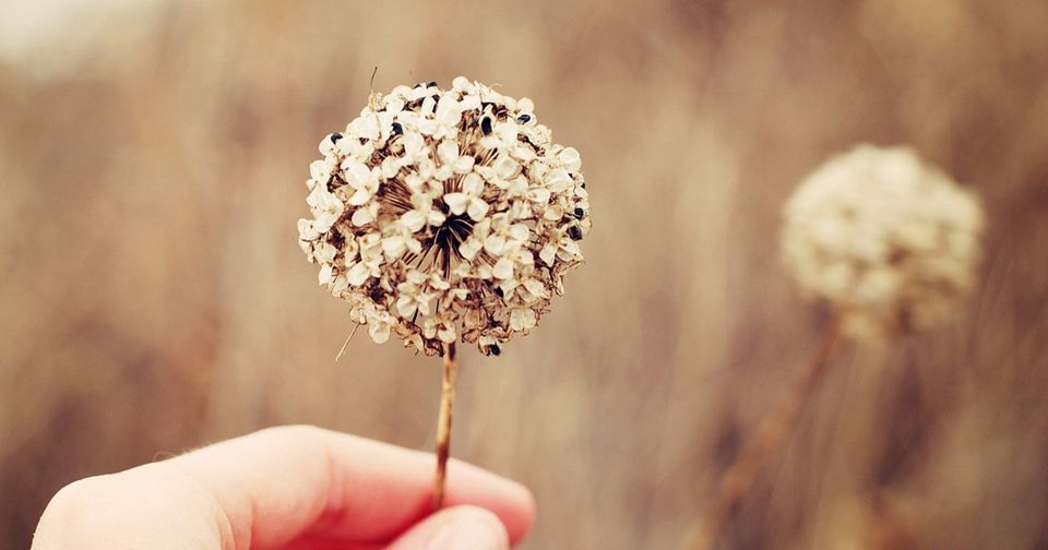 Read more about the article 𝕊𝕥𝕚𝕞𝕒 𝕕𝕖 𝕤𝕚𝕟𝕖 – 𝕡𝕣𝕠𝕧𝕠𝕔𝕒𝕣𝕖𝕒 𝟟