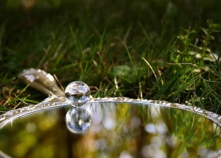 Read more about the article 𝐎𝐠𝐥𝐢𝐧𝐳𝐢𝐥𝐞 𝐞𝐬𝐞𝐧𝐢𝐞𝐧𝐞 – 𝐩𝐞𝐧𝐭𝐫𝐮 𝐚 𝐢̂𝐧𝐭̗𝐞𝐥𝐞𝐠𝐞 𝐜𝐢𝐧𝐞 𝐞𝐬̗𝐭𝐢, 𝐝𝐞 𝐜𝐞 𝐚𝐢 𝐧𝐞𝐯𝐨𝐢𝐞 𝐬̗𝐢 𝐜𝐨𝐦 𝐩𝐨𝐭̗𝐢 𝐚𝐭𝐫𝐚𝐠𝐞 𝐩𝐞𝐫𝐬𝐨𝐚𝐧𝐞𝐥𝐞 𝐩𝐨𝐭𝐫𝐢𝐯𝐢𝐭𝐞 𝐢̂𝐧 𝐯𝐢𝐚𝐭̗𝐚 𝐭𝐚